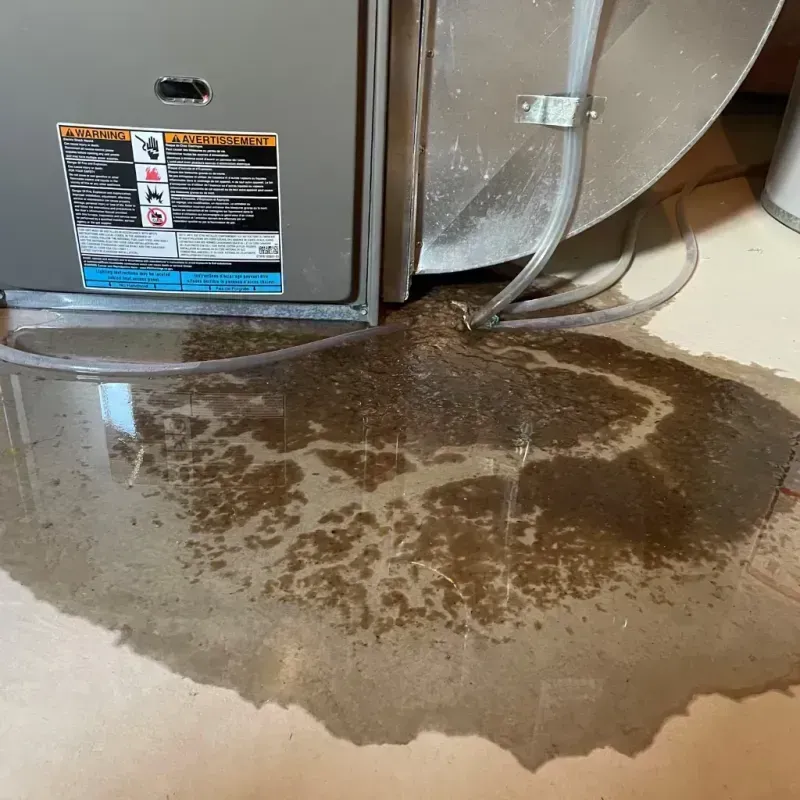 Appliance Leak Cleanup in Chetek, WI